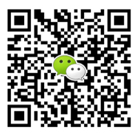 the qr code